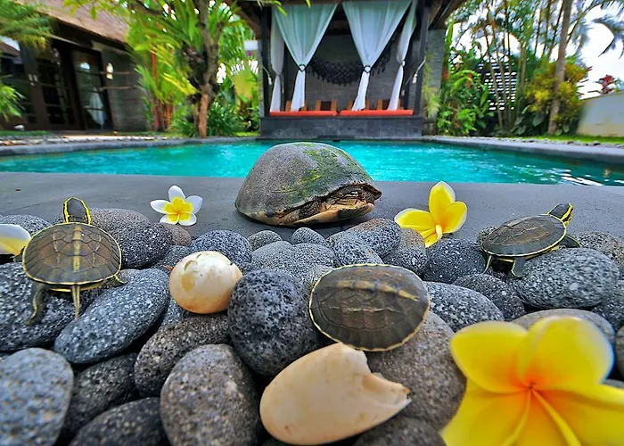 The Zala Villa Canggu